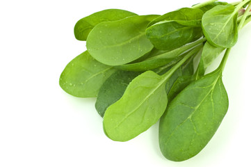 Fresh spinach