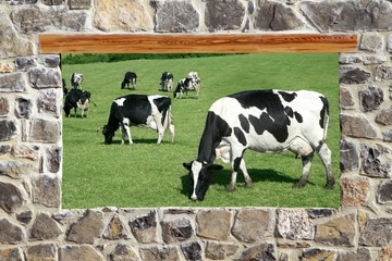 stone masonry wall window cows meadow view