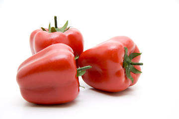 Rote Paprika