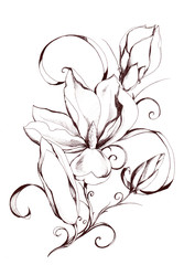 Shape of magnolia flowers.My own artwork.