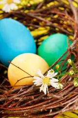 Fototapeta na wymiar Easter eggs in a nest.