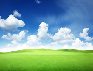 green field and blue sky