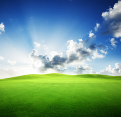 field of grass and perfect sunset sky