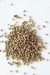 Coriander  seeds