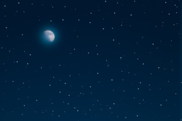Obraz na płótnie Canvas night sky.