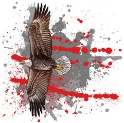 woodcut style eagle