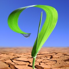 Ecologie..Rechauffement.Solution?