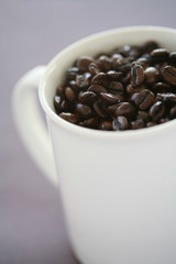 Coffee Beans In Mug