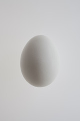 Egg