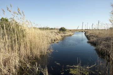 Freshwater Canal in Florida