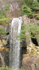 beautiful waterfall in green forest
