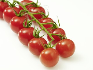 Strauchtomaten