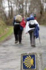 Obraz premium Hito camino de Santiago