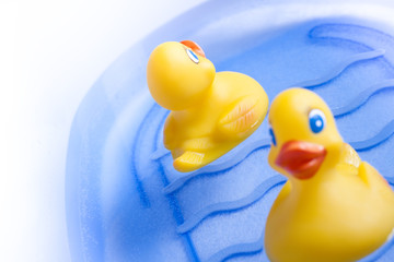 Bath toy