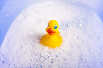 ducks in the bathtub
