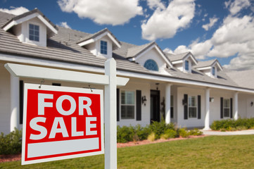 Home For Sale Real Estate Sign and House - Left