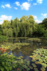 Pond and garden at Giverny, France