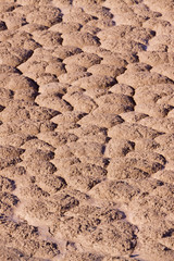 Dry earth