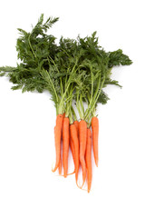 Fresh organic carrot