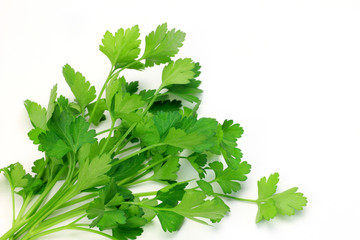 italian parsley