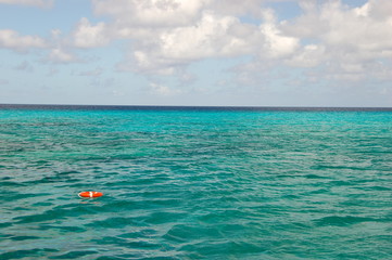 Life saver in sea