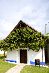 Fototapeta na wymiar wine cellar, Blatnice pod svatym Antoninkem, Czech Republic