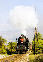 Fototapeta na wymiar train with steam locomotive near Handlova, Slovakia