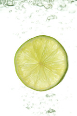 Fresh lime with water drops