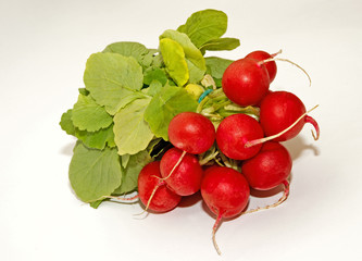 Radieschen