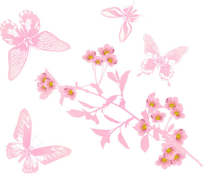 single cherry flower branch and butterflies