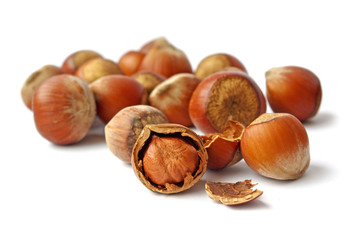 Hazelnuts on a white background