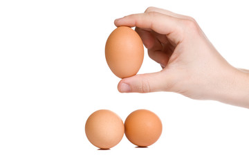 hand holding egg