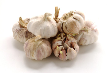 Aglio - Allium sativum