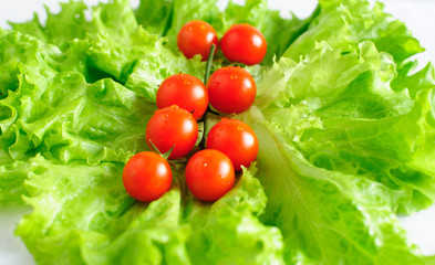 Cherry tomatos and lettuce