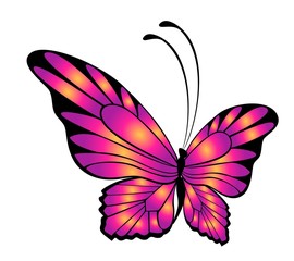 Obraz na płótnie Canvas Butterfly