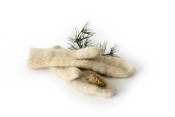 mittens of dog wool with pine branch