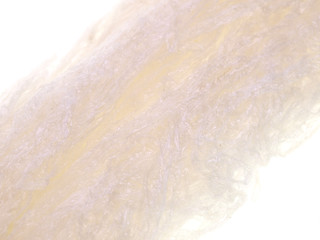 Fototapeta premium agar