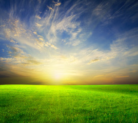 green field and beautiful sunset.