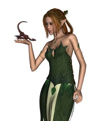 Femme elfe et dragon de compagnie