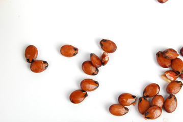 watermelon seeds