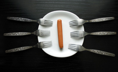 A one sausage on a plate