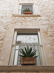 Typical windows of Molfetta Oldtown. Apulia.
