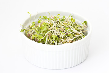 fresh sprouts