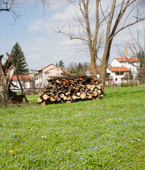 Catasta di legname