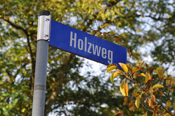 Die metaphorische Redewendung „auf dem Holzweg sein“