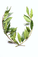 laurel wreath - 21690216