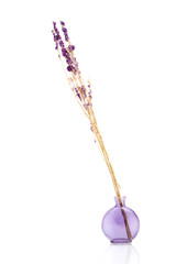 Dry lavender