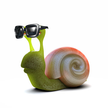 Snail wearing sunglasses