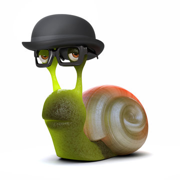 Bowler hatted snail