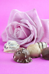 pink rose and chocolate truffles